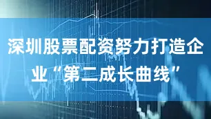 深圳股票配资努力打造企业“第二成长曲线”