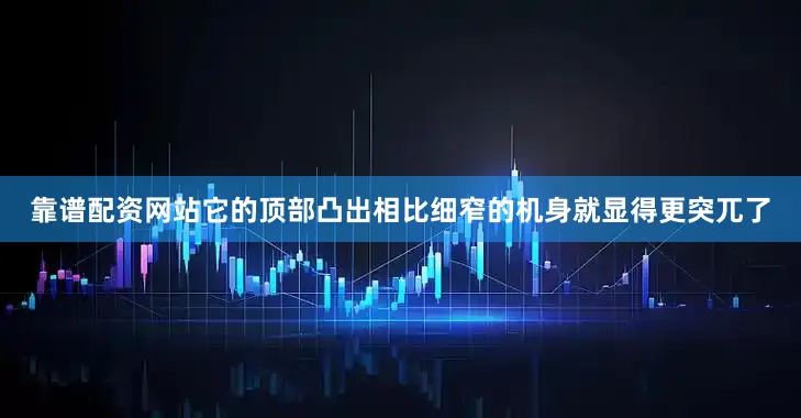 靠谱配资网站它的顶部凸出相比细窄的机身就显得更突兀了